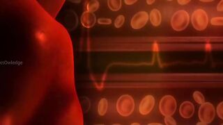 Inside bone marrow stem cells and blood