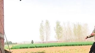 Dog Fantastic Jump