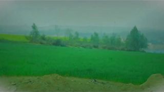 Kohistan aur Sar sabz pahaar