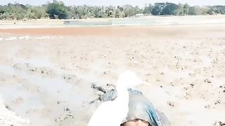 Thes is the amazing video