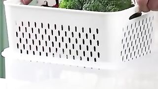 New Refrigerator Vegetable Fruit Storage Box Fridge Organizer Drain Basket Food Storage Container Kitchen