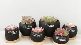 New Multi Bamboo Tray Wood Saucer Flower Pot Tray Cup Pad Coaster Plate Kitchen Decorative Plate Creative Coaster Coffee Cup Mat-