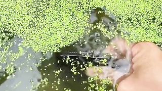 Iphone reaction under in water.