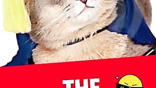 Funny cat video Academy 2023 by akio kid