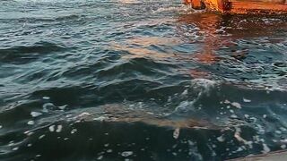 Water bord
