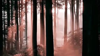 mein dhoondne Ko zamaane mein_music _song _shorts __sadmusic _sadsong _arijitsingh _mein dhoondne Ko