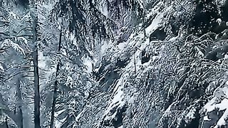 Snow falling in Kalam