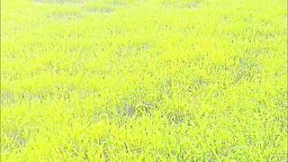 Forming