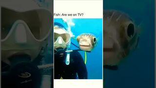 Just some Funny Memes
