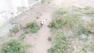 This is an incredible stray cat