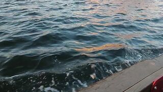 Amazing vew