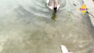 funny Hits