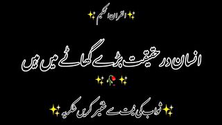 Allah ka quran suno aik dfa????❤️