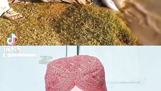 Hhhhhhhh
