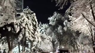 Toshkent qorga korip baxo beramiz