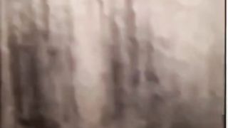 Funny dog is scared from a little cat