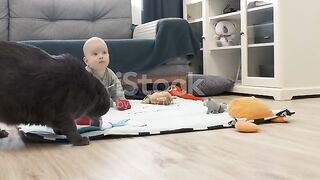 cute cat with baby