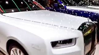 Beautiful car show