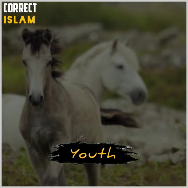 Best ever massage add and share