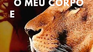 Mensagens motivacionais, se escreva no canal e comenta que sigo vc de volta
