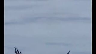 EGIL EYES KASA HA YIH SHAKARI