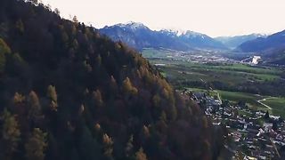 Forest beautiful video