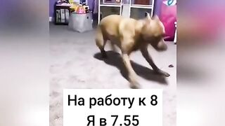 Я спешу на работу