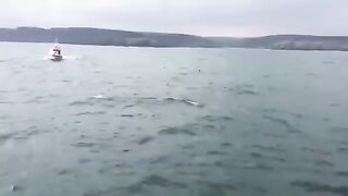 Мина
