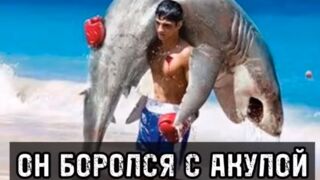Этот Человек Боролся С Акулой, Чтобы Вернуть Руку Своего Племянника!