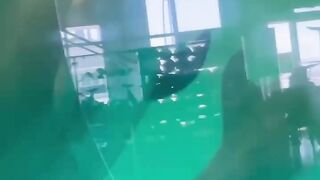 В Одесском дельфинарии  родилось два дельфинёнка. .