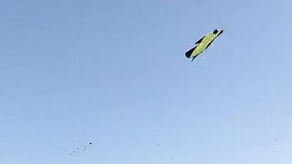 Patang bazi