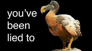 The REAL reason The Dodo Went Extinct