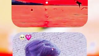 ????????????????