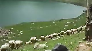 Adventure