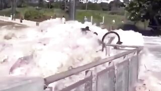 كارتة بحر يغرق الناس