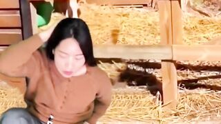 DAKHAY KASAY DONKY CHANG IN MANE