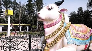 Bholaenath