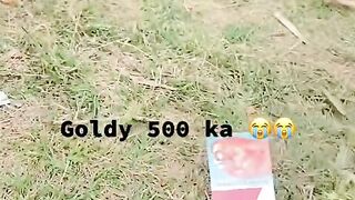 Goldy 500 ka