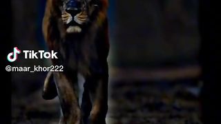 great video# follow me plzzz