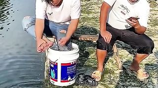 Funny video