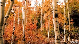 Relaxing music
