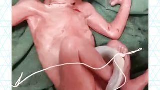 600 gram weight