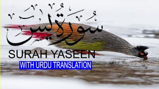 Surah Yasin | Yaseen with Urdu Translation | Episode 20 | Beautiful Quran Recitation | Tappyala
