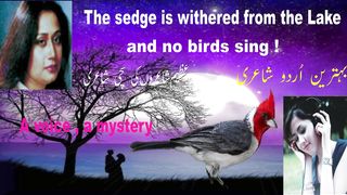 urdu poetry