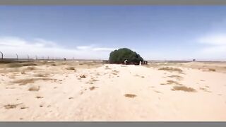 Tree Hazrat Muhammad pbuh