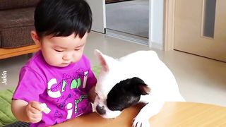 Dog took all food