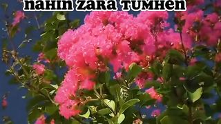 Beautiful heart touching poetry