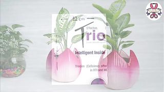 Cement pottery making Cement flower vase Tree planter Making