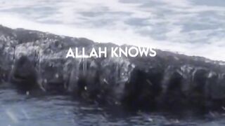 Allah know