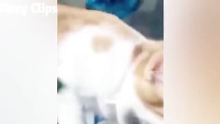 Best Fails of the Year (So Far) 2022